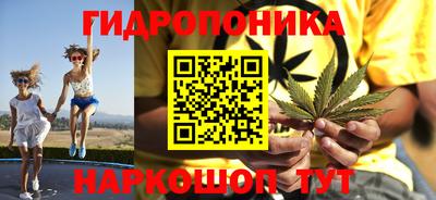 дмт Будённовск