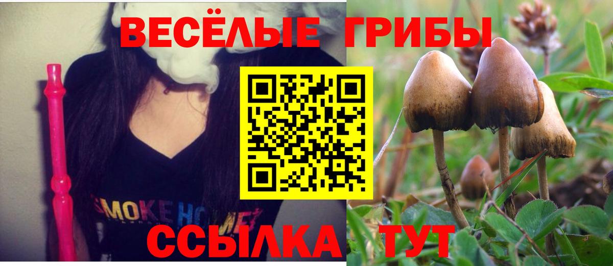 Ступино  Галлюциногенные грибы MAGIC MUSHROOMS  купить наркоту  Вход с VPN 